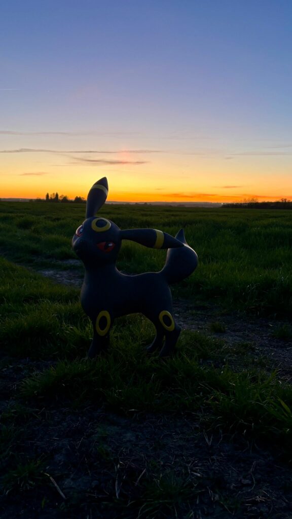 Noctali dans la nuit